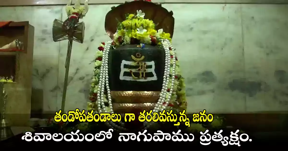 శివాలయం లో నాగుపాము ప్రత్యక్షం…. తండోప తండాలు గా తరలివస్తున్న జనం.