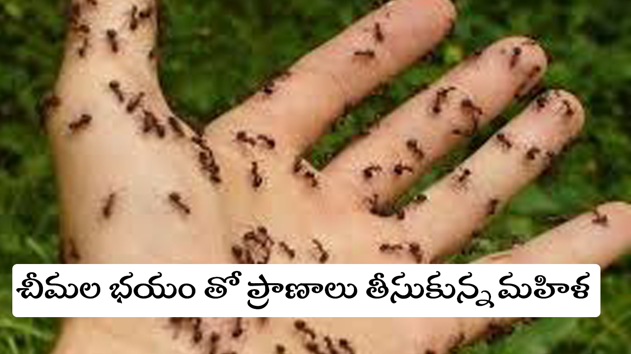 చీమల భయంతో ప్రాణాలు తీసుకున్న మహిళ – పటాన్‌చెరులో విషాద ఘటన.