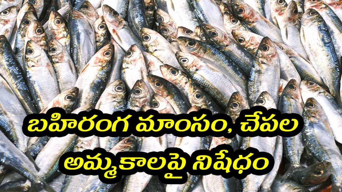 బహిరంగ మాంసం, చేపల అమ్మకాలపై నిషేధం. ఎందుకో తెలుసా?