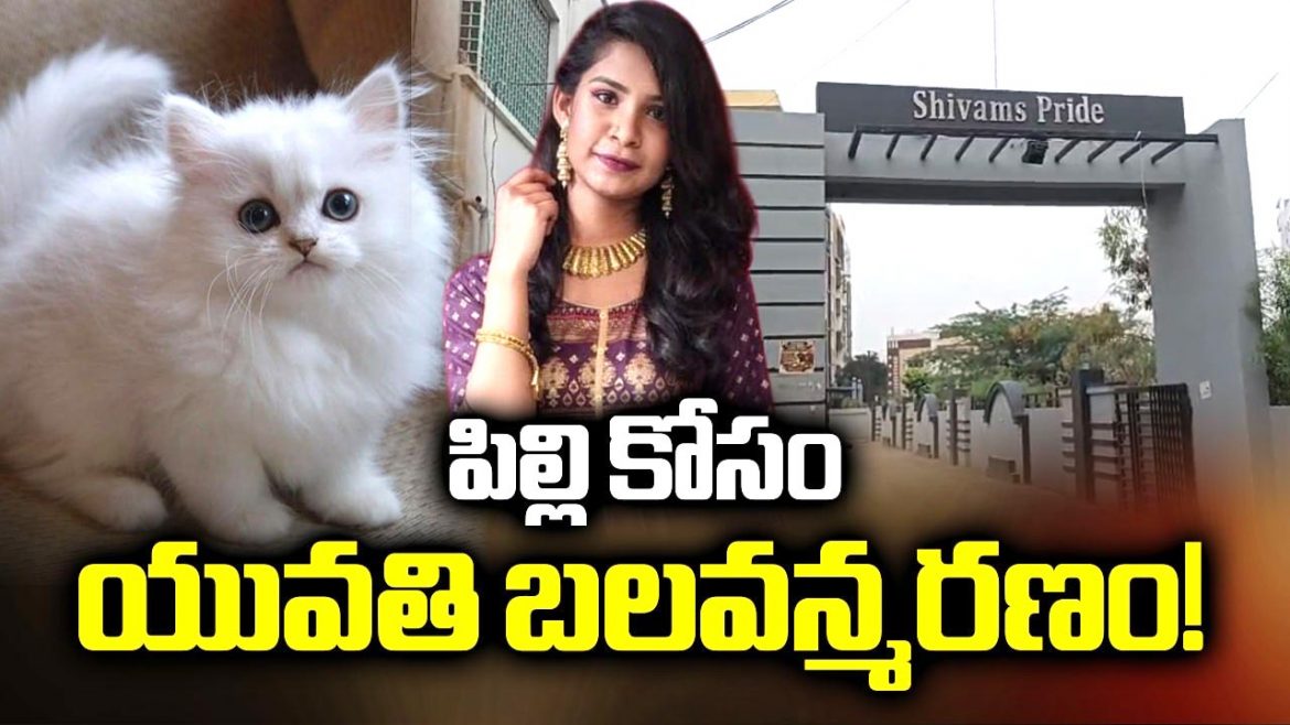 పిల్లి కోసం యువతి బలవన్మరణం: అల్వాల్‌లో విషాదం.