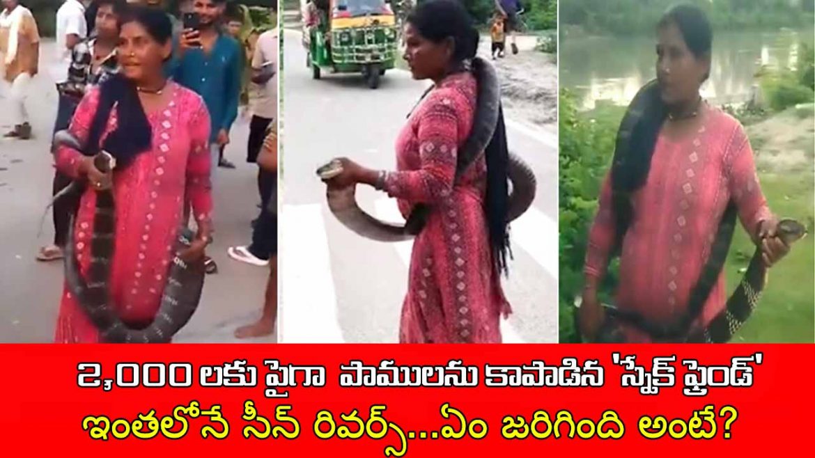 2,000 పాములను కాపాడిన ‘స్నేక్ ఫ్రెండ్’కు నాగుపాము కాటు.. ప్రాణాపాయ స్థితిలో చికిత్స.